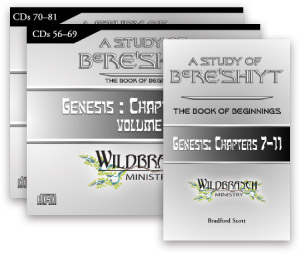 (image for) A Study of Bere’shiyt Ch. 7-11, Vol 5-6 (26 CDs)