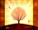 (image for) "as the days of a tree…" (4 CDs)