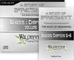 (image for) A Study of Bere’shiyt Ch. 5-6, Vol 4 (13 CDs)
