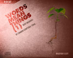 Words Mean Things - Series 1 (8 CDs)
